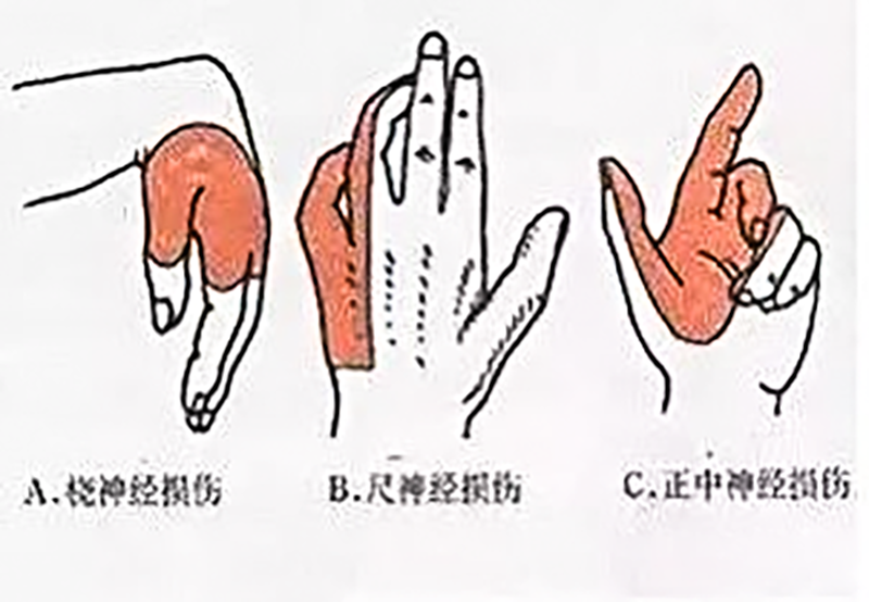 b763dbe53fa960e91831423226dc46f8